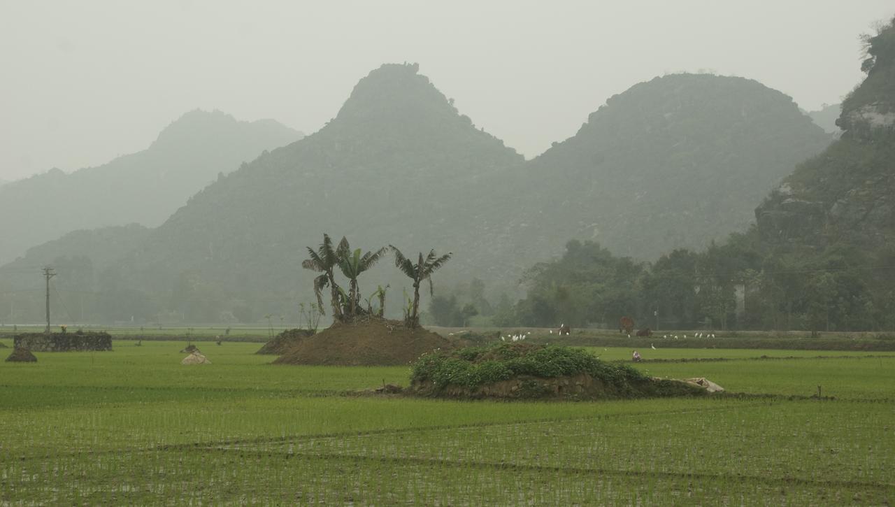 Mai'S Homestay Trang An Ninh Binh Exterior photo